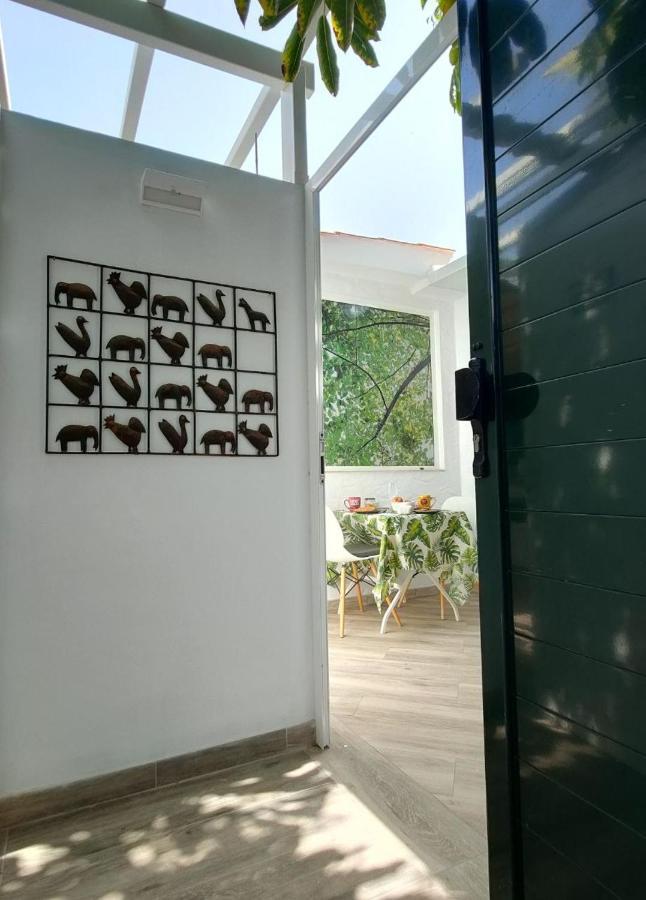 Apartament Casa Maga Maspalomas  Zewnętrze zdjęcie